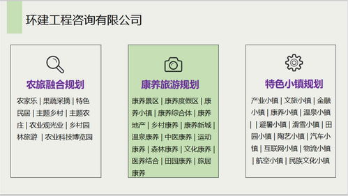 安國社會穩(wěn)定風險評估報告 信息系統(tǒng)集成服務公司的專業(yè)能力分析